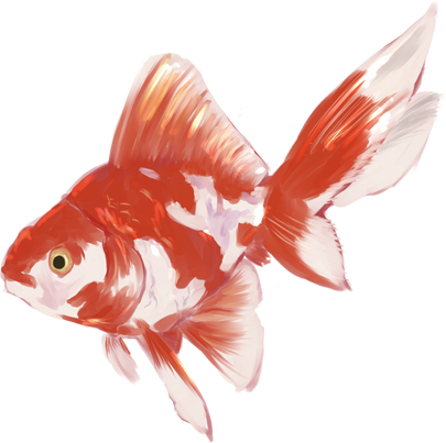 Japanese Traditional Gold Fish Illustration 